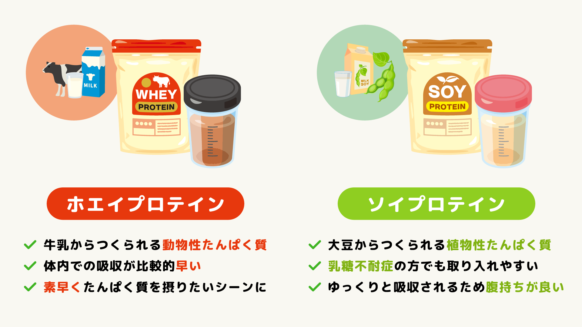 ホエイプロテインとは?ソイプロテインとの違いは?