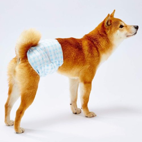 ペティオ(Petio) Petzone エチケットウェア男の子用