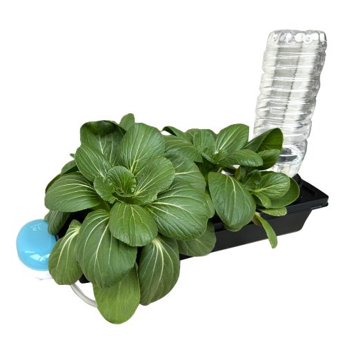 ゼンポー(ZENPOU) 水耕栽培キット 水畑ミニ