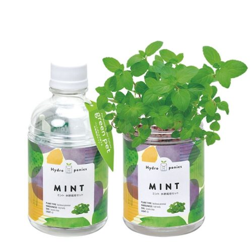 エコゲリラ(ECO GUERRILLA) 底面給水栽培セット グリーンペット GD863