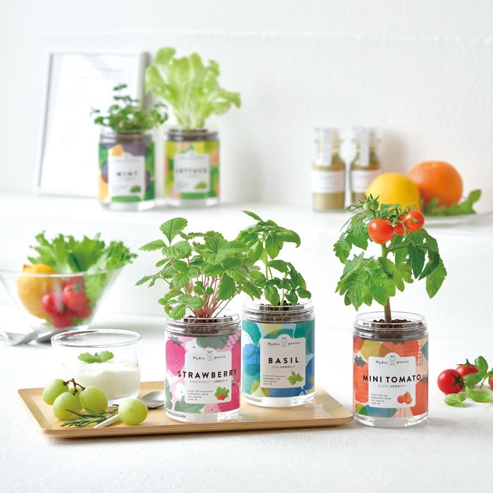 植物のイメージ