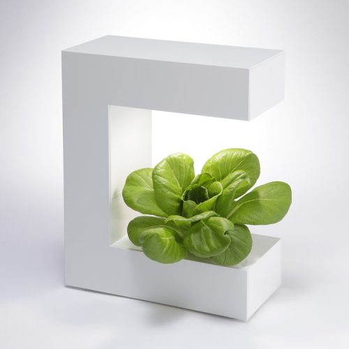 エコゲリラ(ECO GUERRILLA) LED 水耕栽培 キット Akarina14