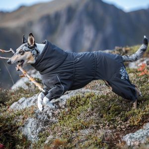 犬用防寒着のおすすめ15選。おしゃれなモデルもラインナップ