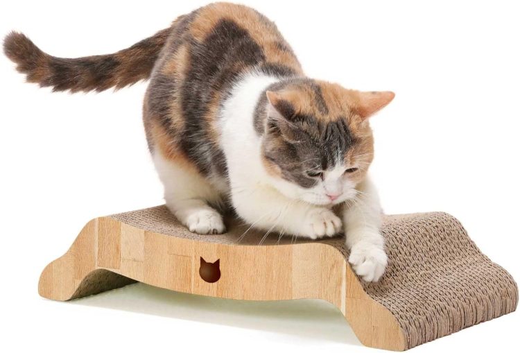 猫用品のイメージ