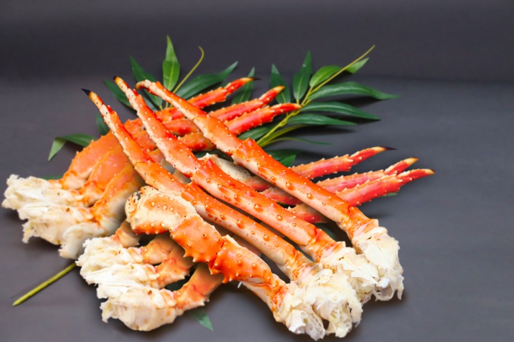 魚介類のイメージ