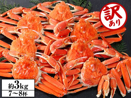 かに本舗 訳あり ボイルずわい姿7~8杯 約3kg