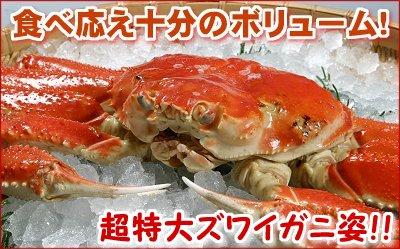 網走水産 超特大 ずわいがに姿 1尾 800g~1kg
