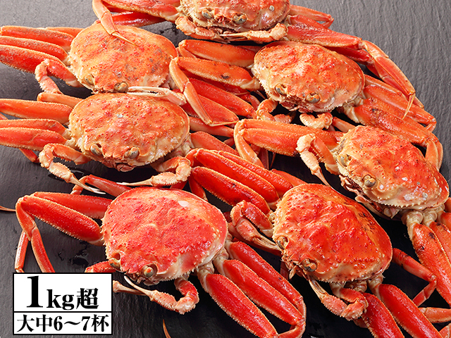 かに本舗 境港厳選 冷凍浜茹でセコガニ 大中6~7杯 1kg超
