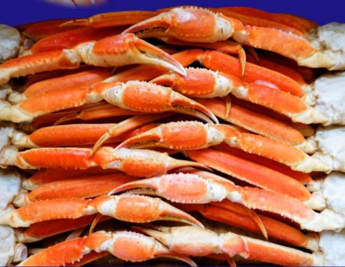 魚奏 ボイルずわいがに 訳あり 5kg