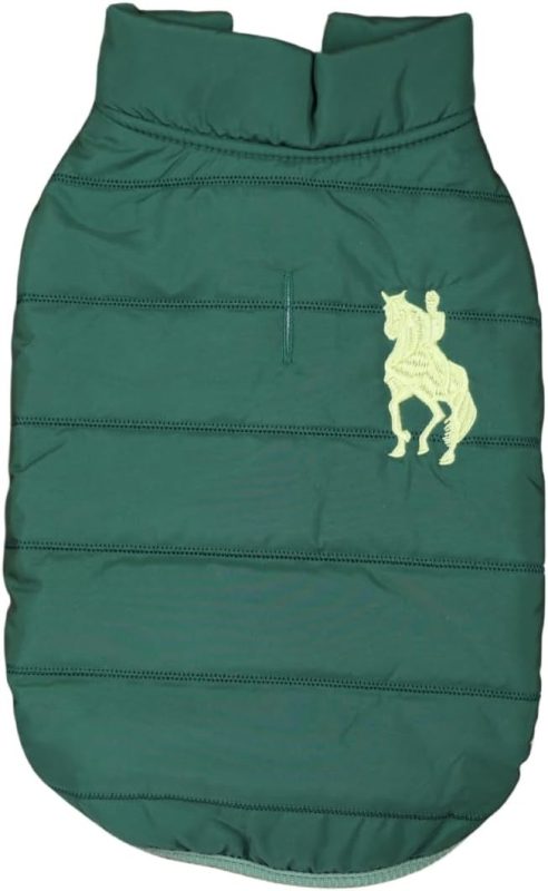 ジジ・ルシアン(ZIZILECHI) 刺繍ダウン風ジャケット