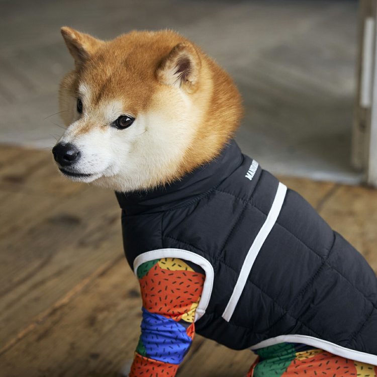 ダウンジャケットのイメージ