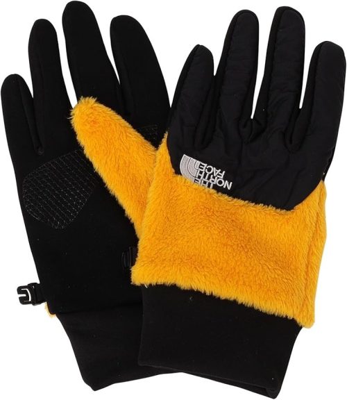 ザ・ノース・フェイス(THE NORTH FACE) DENALI ETIP フリース グローブ