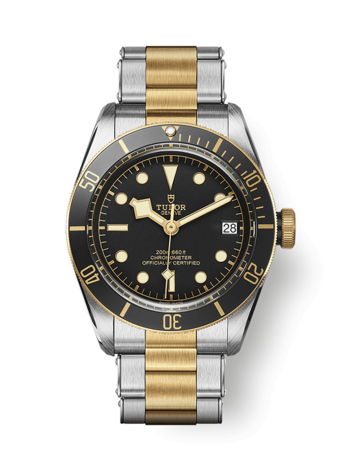 チューダー(TUDOR) BLACK BAY S&G M79733N-0008