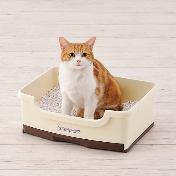 猫用品のイメージ