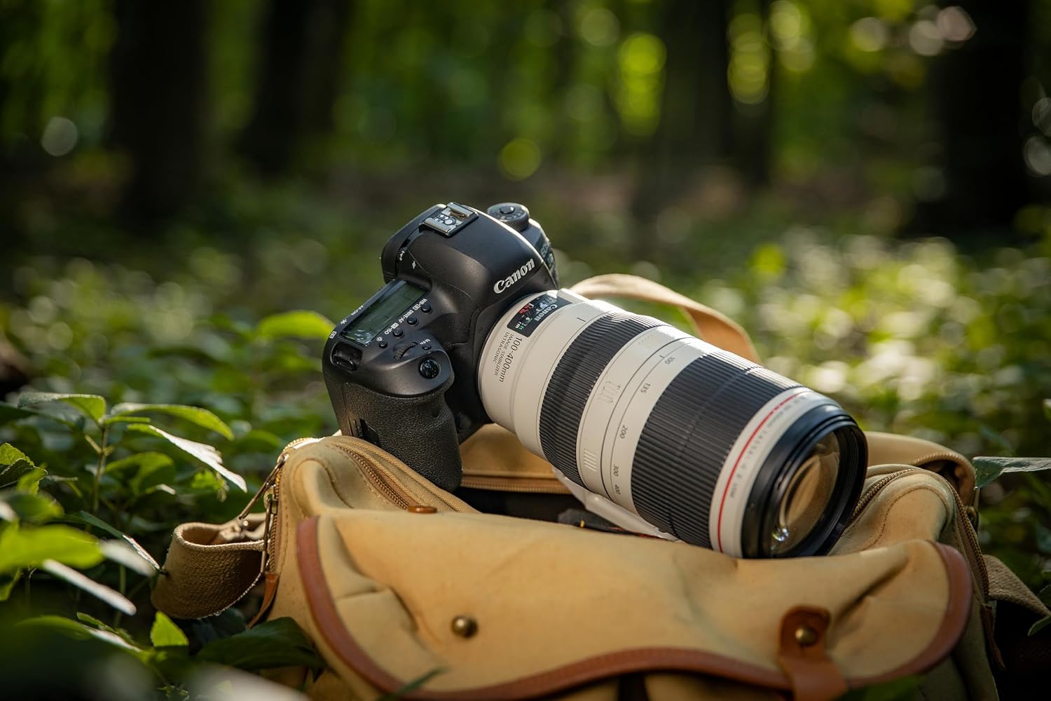 キヤノン(Canon)のカメラレンズおすすめ20選。軽量で持ち運びやすい