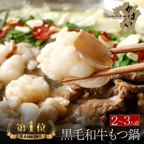 博多もつ鍋がばい もつ鍋セット