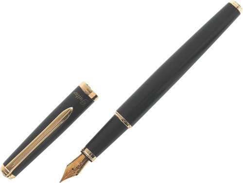 寺西化学工業(Teranishi Chemical Industry) ギター 万年筆 ブリランテ GFPNB