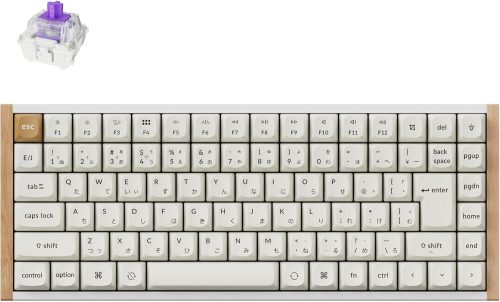 キークロン(Keychron) Keychron K2 HE K2H-Q1-JIS