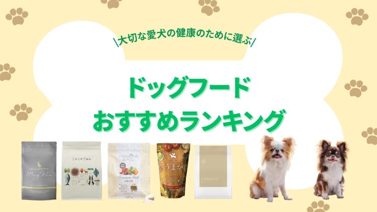【2025年版】ドッグフードのおすすめランキング。獣医師が選び方を徹底解説