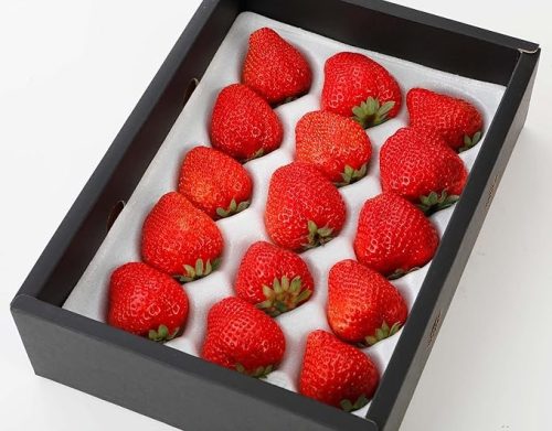 はちまるはち 福岡県産 あまおういちご