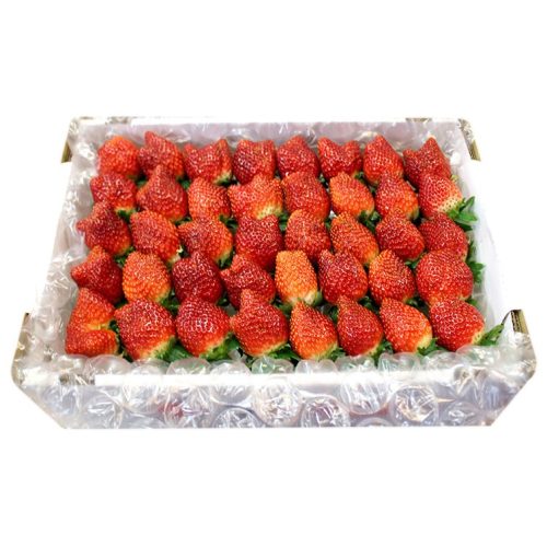 Tちゃんいちご 栃木県産 とちあいか