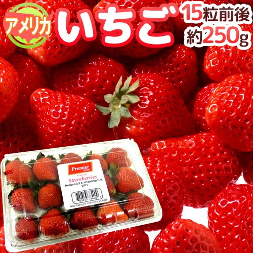 くらし快援隊 アメリカ産いちご