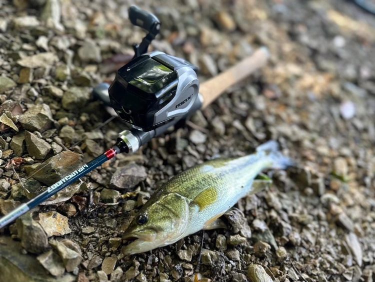 リールのイメージ