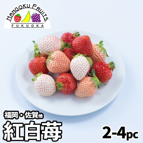 NANGOKU FRUITS FUKUOKA 福岡 佐賀産 紅白いちご
