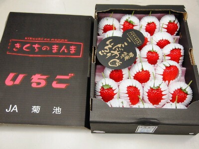 きくちのまんま ひのしずく苺