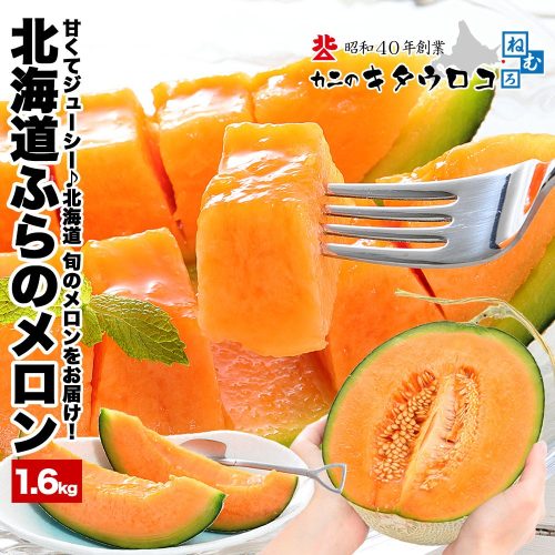 カニのキタウロコ 富良野メロン 共選 優品または秀品