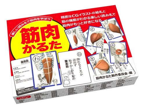 ラウンドフラット 筋肉かるた