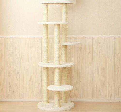 マウ(Mau) Mauタワー トルテ mt-008