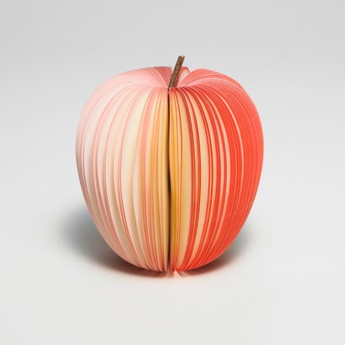 D-BROS KUDAMEMO リンゴ