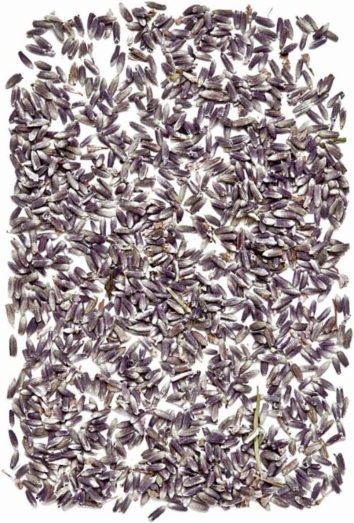 TOKA ドライフラワー ラベンダーポプリ