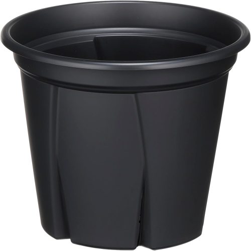 アップルウェアー 根っこつよし