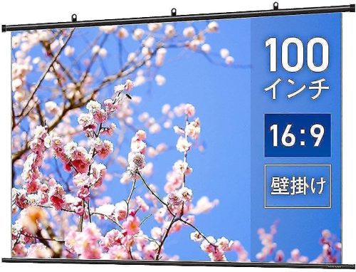 シアターハウス プロジェクター スクリーン BTP2220WSD