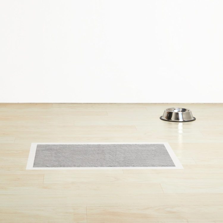 ペット用品のイメージ