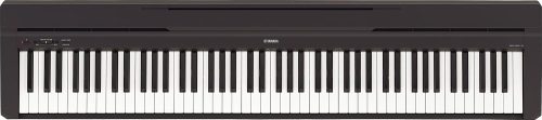 ヤマハ(YAMAHA) Pシリーズ P-45