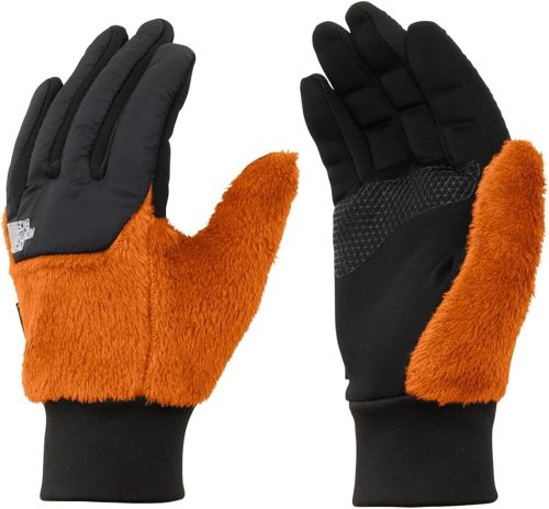 ザ・ノース・フェイス(THE NORTH FACE) デナリイーチップグローブ NN62522