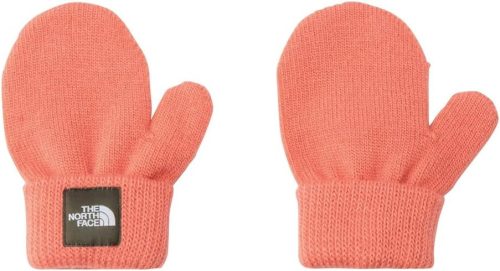 ザ・ノース・フェイス(THE NORTH FACE) ニットミット NNB62334