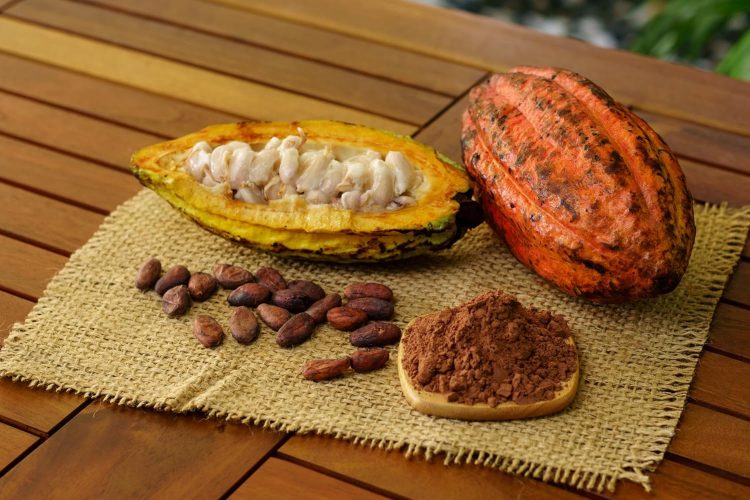 ココアのイメージ