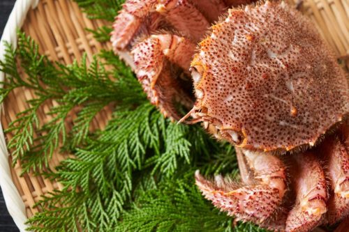 カニ通販.com 毛ガニ 500g~