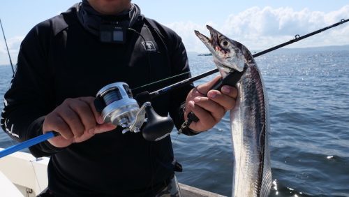 ジギング ライトジギングロッド フルソリッド SP622 M 80〜200g