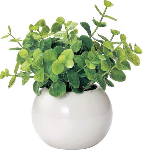 ケーアイジャパン(Kijapan) ミニ インテリアグリーン ユーカリ