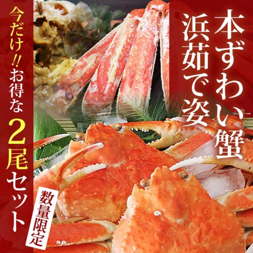 かにまみれ 本ずわい蟹 浜茹で姿 600gサイズ 2杯セット
