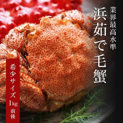 かにまみれ 浜茹で毛ガニ・特大 無添加 800g~1.4kg前後