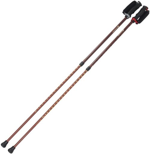 シナノ(SINANO) あんしん2本杖