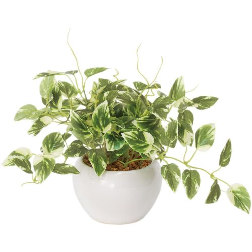 ニトリ(NITORI) フェイクグリーン8241644