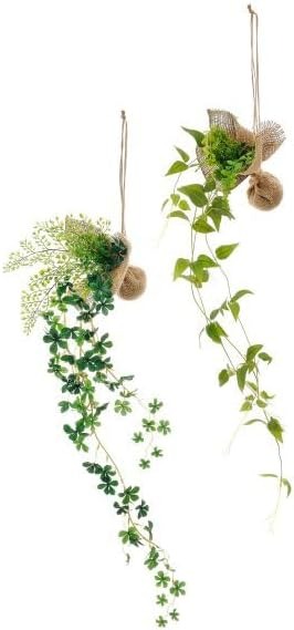 グリーンパーク 消臭ハンギンググリーン 2個セットB PRGR-1183