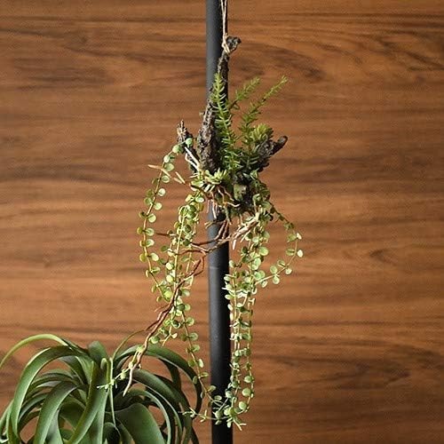 ブラウン(Brown.) アレンジメント 着生